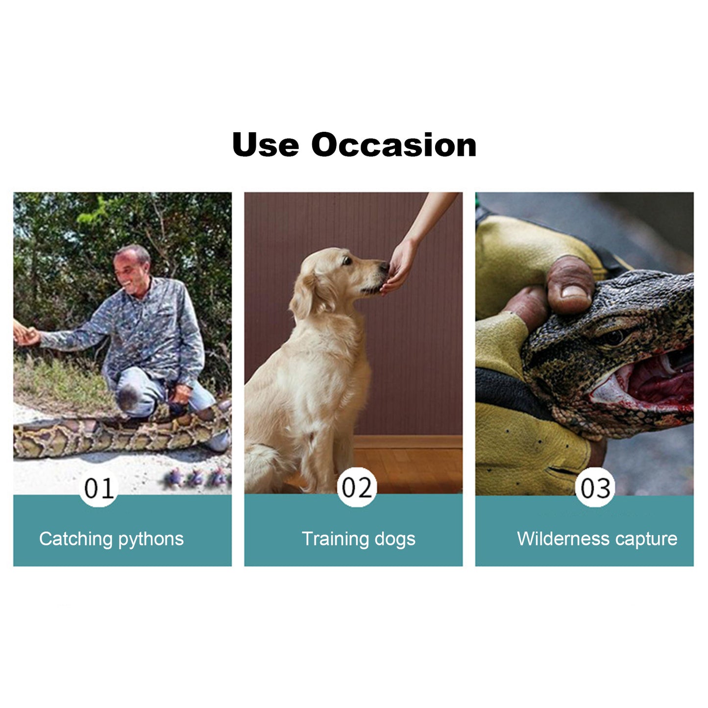 Pet Handling Protective Gloves – Anti-Bite Safety Gloves for Dogs, Cats & Reptiles