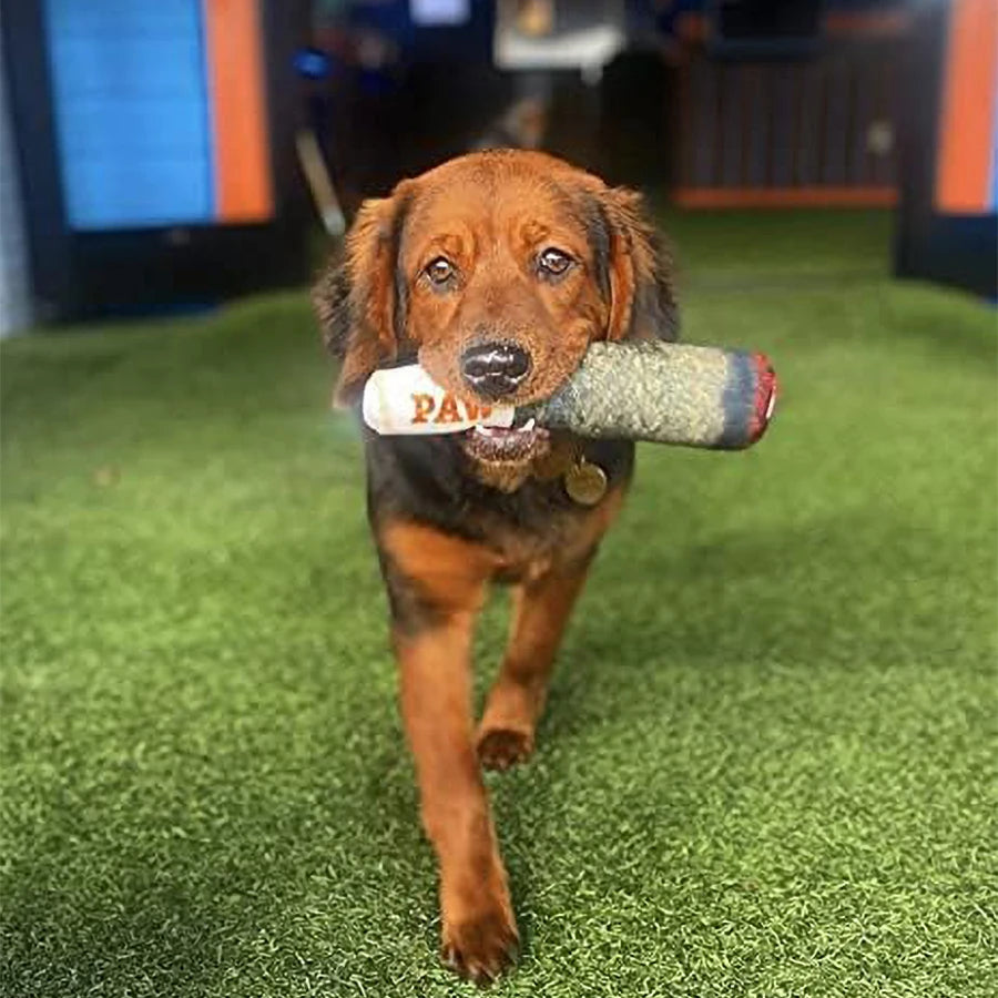 Plush Squeaky Dog Toy for Small, Medium & Large Dogs – Cute Stuffed Birthday Gift