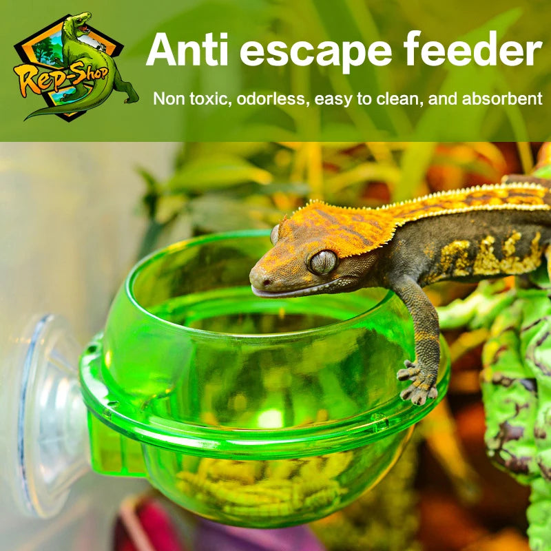 Arboreal Reptile Feeder Bowl – Anti-Escape Insect Feeding Cup