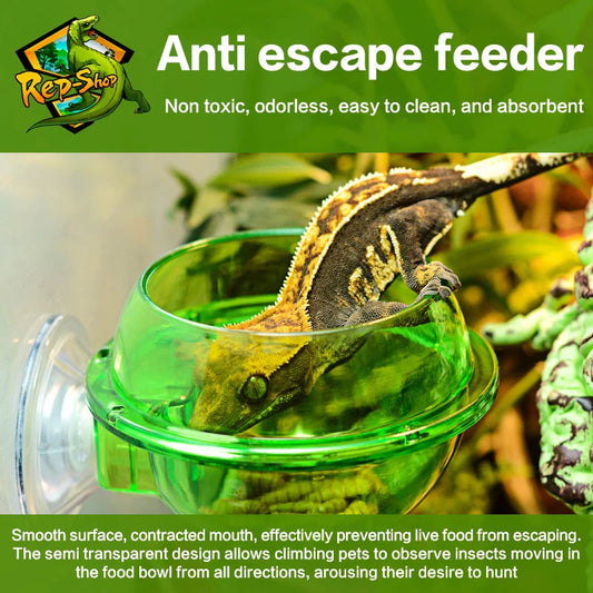 Arboreal Reptile Feeder Bowl – Anti-Escape Insect Feeding Cup